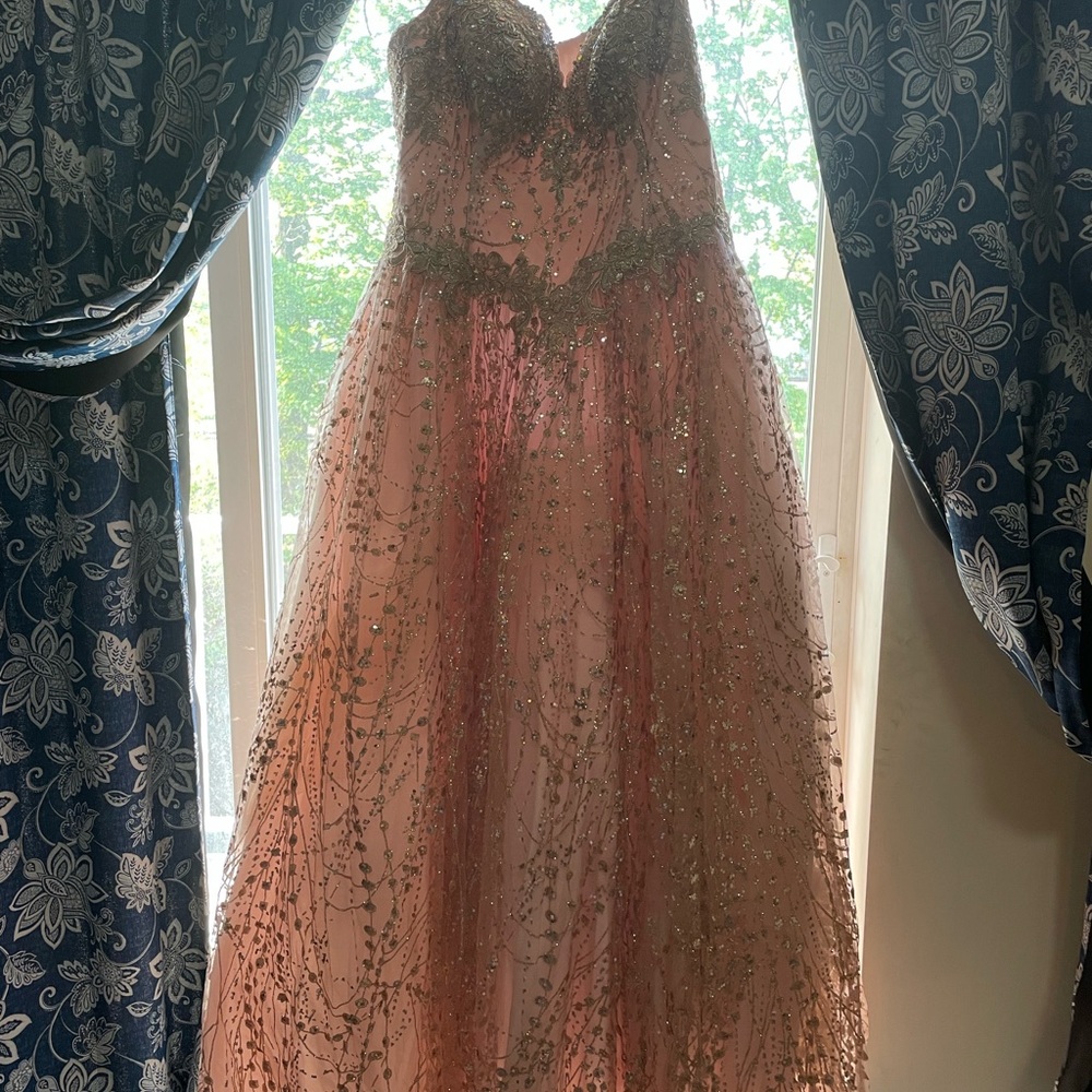 Selling a beautiful rose gold and pink aspeed dress.Size 3XL - Picture 3 of 6